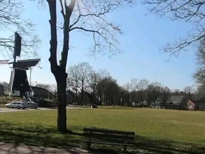 Rolde Dingspilmarkt braderie